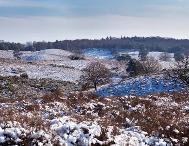 Gemeente Landgraaf | Roxit